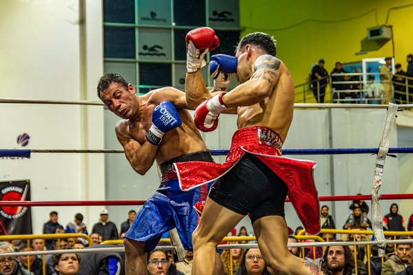 Trouvez la chaussure d'haltérophilie idéale